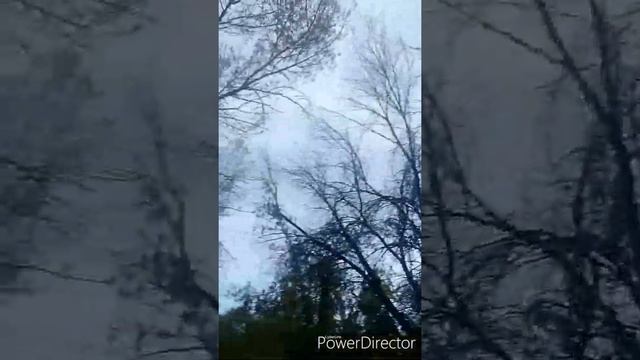 Стихотворение Осень смотреть онлайн