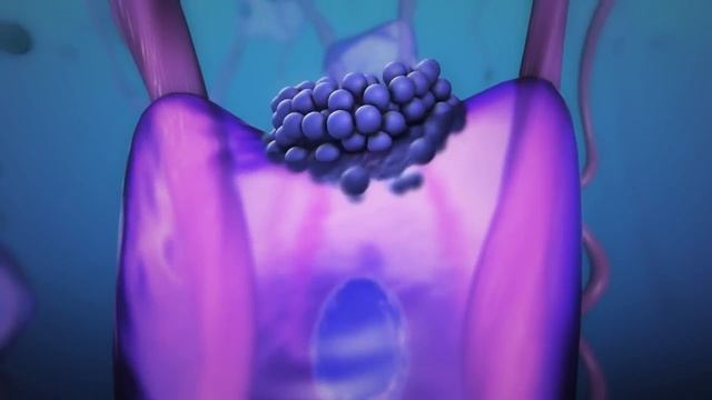 Компания Nl International создала линейку Be loved смотреть онлайн