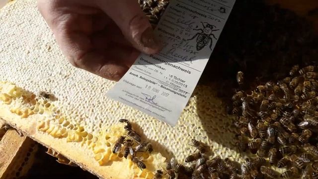 Карника Тройзек 1075   СУПЕР Подготовка в зиму. ВСЕМ смотреть до конца!!!