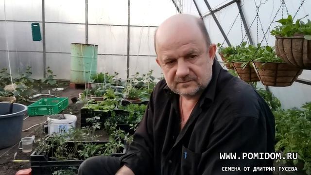 Эх, деревенщина! Душа крестьянская! Как мы ведём своё хозяйство. Как чувствуем потребности растений смотреть онлайн