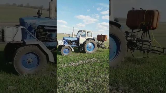 Саморобний оприскувач/ оприскування пшиниці / юмз 6 смотреть онлайн