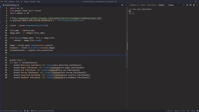 Google Vision API in Python (Part 7): Detect Faces смотреть онлайн