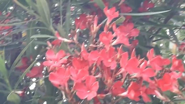 Ритуалы - онлайн от негатива кометы быстрые. 4. На небо в зареве. К Урану. смотреть онлайн