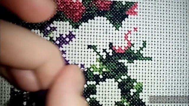 Живой процесс. Летний сад. смотреть онлайн