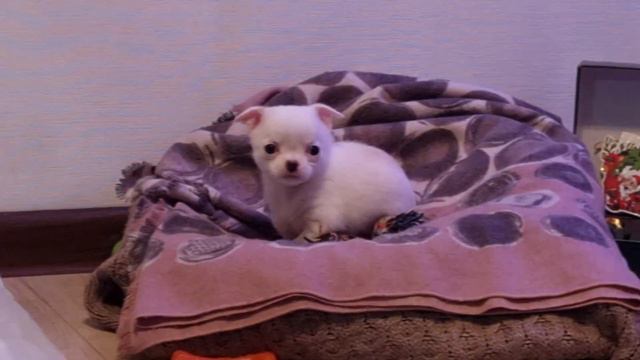Устала🤣, хочу 😴 08.01.23 смотреть онлайн