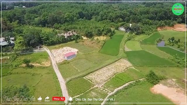 ❤️Nhạc Không Lời Ru Ngủ Về Đêm Dễ Ngủ Giảm Stress 100% ☀ Hòa Tấu Rumba Phòng Trà Êm Tai Dễ Nghe #15