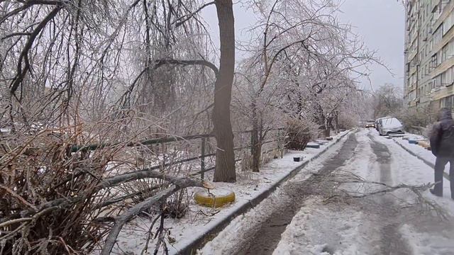 Ледяной снег! Первый снег с дождем, что было сегодня во Владивостоке, деревья падают на машины смотреть онлайн