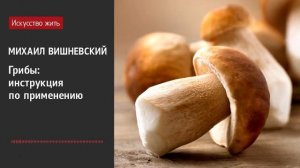 Михаил Вишневский.  Грибы - инструкция по применению.