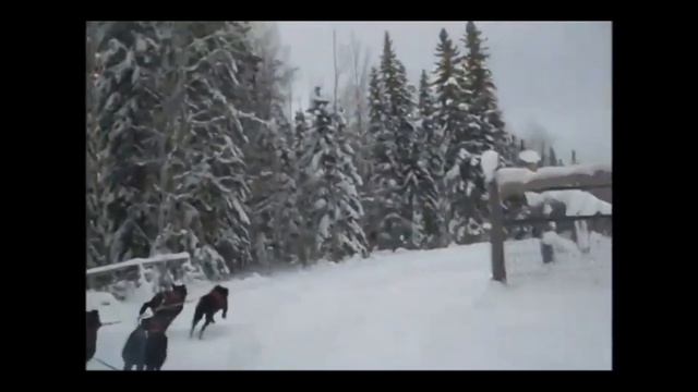 The Power Of Pulling смотреть онлайн