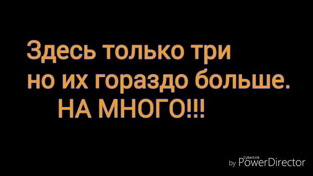 Коты-воители и я сам смотреть онлайн