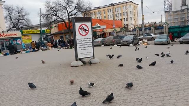 «Строго запрещено» - знак в Ростове-на-Дону. Достопримечательность смотреть онлайн