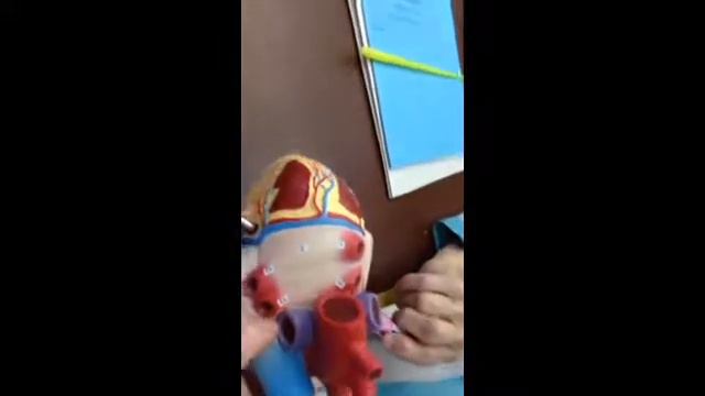 Сердце часть 3 смотреть онлайн