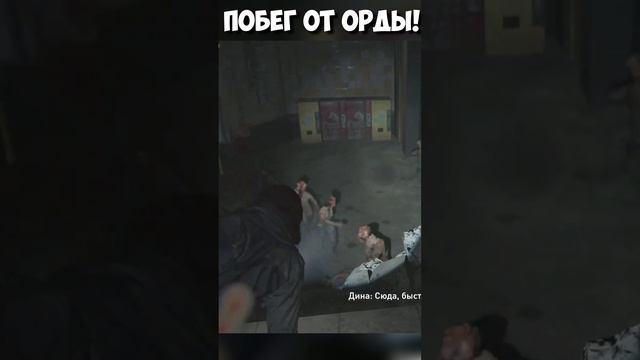ПОБЕГ ОТ ОРДЫ! Элли и Дина. #thelastofuspart2 #одниизнас #эллидина #зараженные #сиетлорда смотреть онлайн