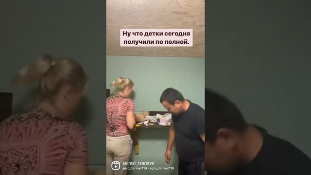 Кто мечтал о котёнке? Самое время обогатится. Пишем мне. 89255977633 ? #домашниеживотные #кошки смотреть онлайн