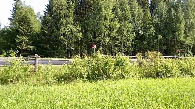 ЧЕРЁМУХА УПАЛА НА ВОРОТА смотреть онлайн