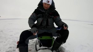 Как поймать много плотвы! Ловля ПЛОТВЫ ЗИМОЙ!