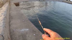 Морская рыбалка. Обзор спиннинга METSUI TIP TOP.