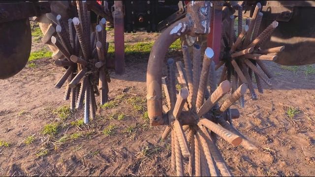Боронование чеснока (воздушка) сорт Любаша. Испытание бороны "Ежи". смотреть онлайн