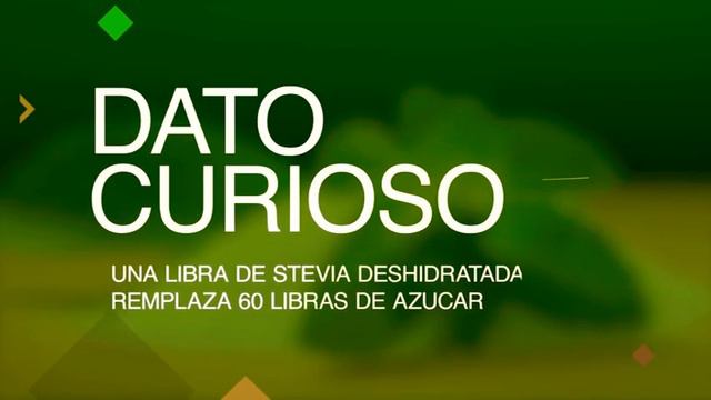 STEVIAGRO. Stevia Orgánica ¿Cómo Se Prepara? ¿Cómo Adquirirla?