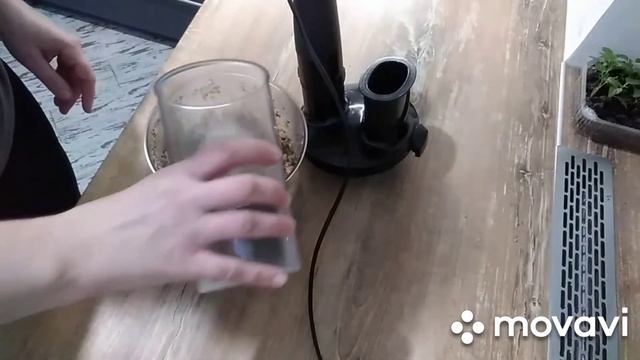 Вегетарианская Кухня