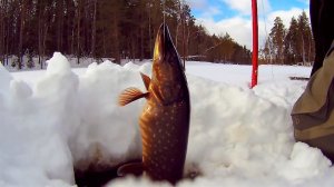 Рыбалка март 2018 год.mp4