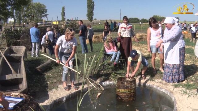 Кружилинские толоки