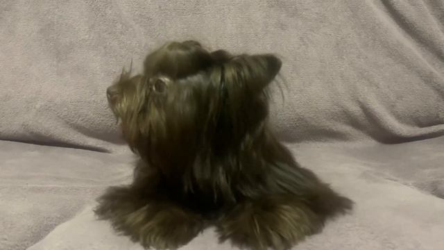 17 июля 2023 г. смотреть онлайн