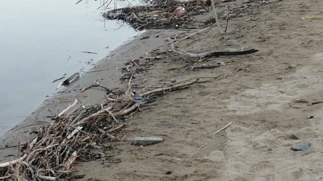 Рыбалка Иртыш. ФИДЕР Омск Николаевка. Май 2022 смотреть онлайн