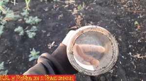 Поиск воды на участке по банкам.  Как найти воду, где копать колодец с помощью банок.