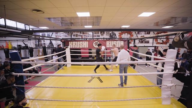 DON ALI VS TAURUS - KRUSHI BUGNA FIGHTS смотреть онлайн