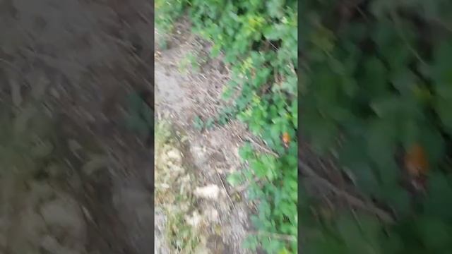 Тротуар смерти в Севастополе смотреть онлайн