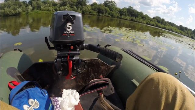 Ловля крупной плотвы на реке летом | Бонус - огромная плотва смотреть онлайн