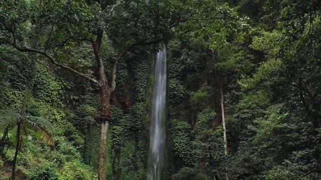 ВЕЧЕРНЯЯ МОЛИТВА ПЕРЕД С НОМ | 07.10.2023 смотреть онлайн