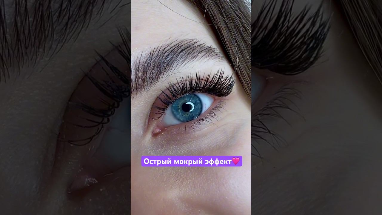Один из 13 видов мокрых эффектов #lash #лэшмейкер #ресницы смотреть онлайн