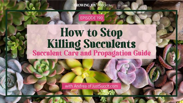 190 Succulent Care: How to Stop Killing Succulents | Growing Joy with Plants | Podcast смотреть онлайн