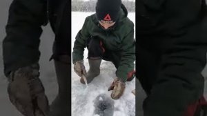 рыбалка на речке киренга