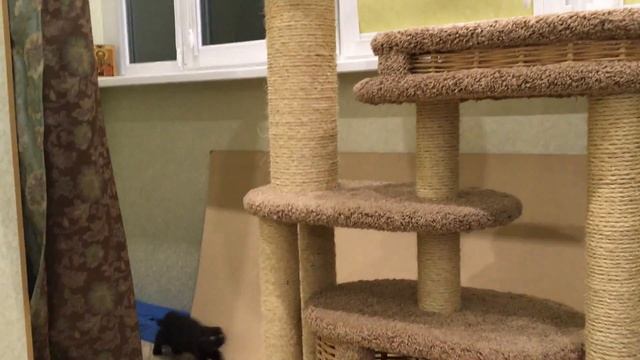 Яшкины вечерние бесы смотреть онлайн