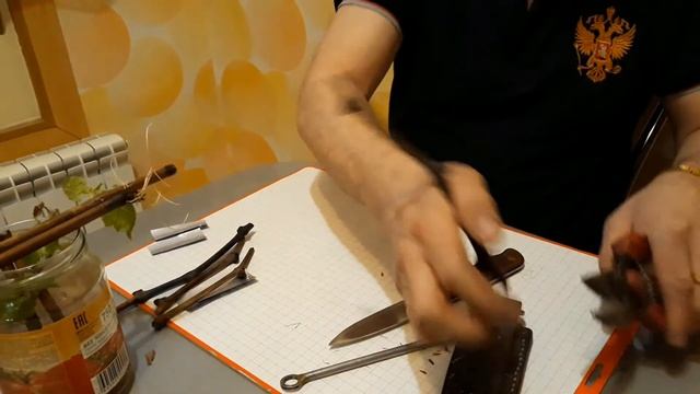 Прививка винограда (настольная) смотреть онлайн