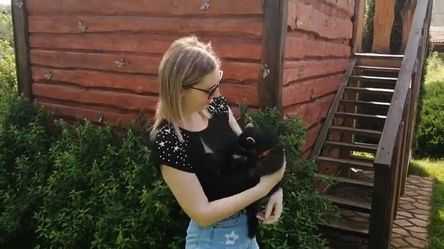 Агроусадьба с зоосадом. Во дворе нашего коттеджа живет страус! Отдых в Беларуси. Часть 2. смотреть онлайн