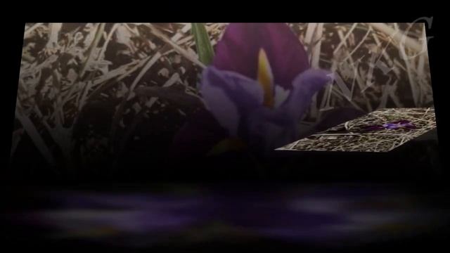 159. Киргизия. Кыргызстан. Весеннее настроение. смотреть онлайн