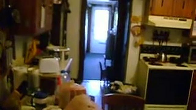 kitty cat play git the spider смотреть онлайн