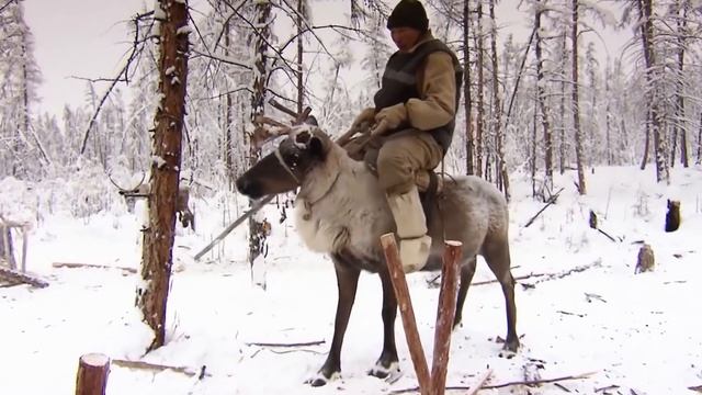Dünyanın En SOĞUK YERİ YAKUTİSTAN'DA YAŞAM?-71°C Yakutistan Belgeseli | En Soğuk Ülke YAKUTİSTAN