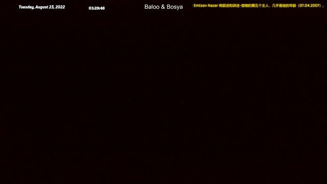 Жизнь котов, когда верные друзья рядом (23.08.2022 (00:35 (UTC+3))) смотреть онлайн