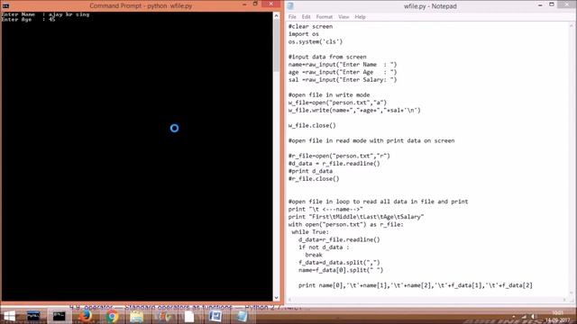 Python Tutorial for Beginners with Example, File Handling,Read File and Format data for screen, смотреть онлайн