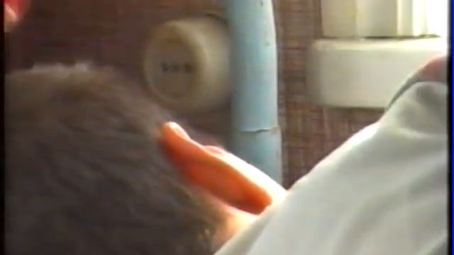 Семейный архив 2001 2003