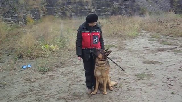 Повороты на месте.AVI смотреть онлайн