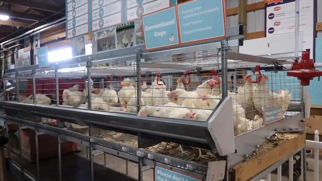 MN State Fair Vlog 2019 | Billy Vue смотреть онлайн