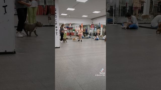 2022-06-26-030022941.mp4 смотреть онлайн