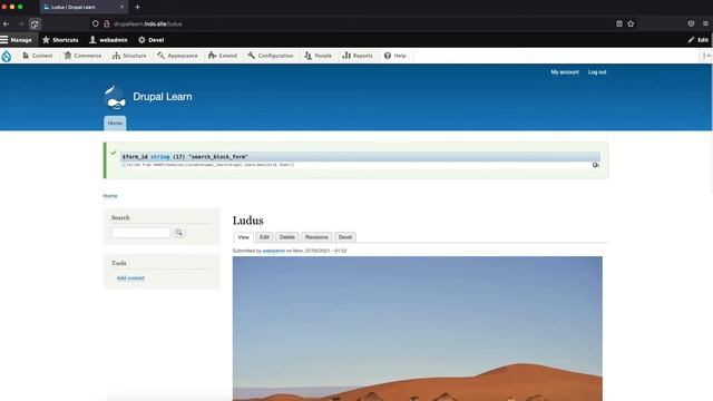 Drupal 9 Kint Debug смотреть онлайн