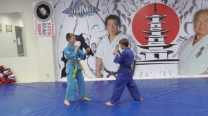 10 КЮ КУДО ОЛИМП (для аттестации)